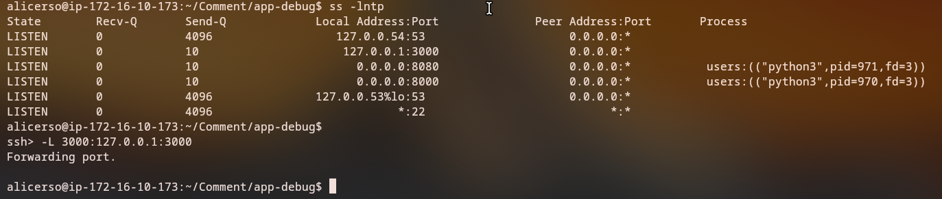 SSH Port Forwarding