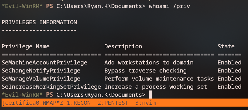 SeManageVolume Exploit